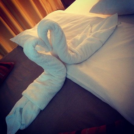 995404_315513548583957_217542755_n