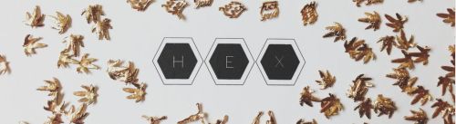 bannière hex