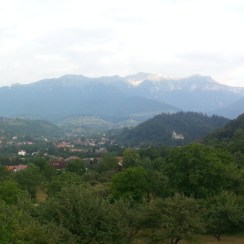 1005910_379660902155934_522347458_n