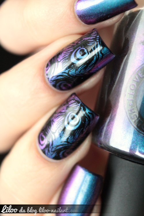 Birefringence ILNP